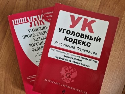 В Северодвинске установлен подозреваемый в лишении свободы местной жительницы и угрозе убийством